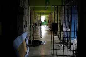 Duitse advocaat opgesloten in psychiatrische afdeling nadat ze had opgeroepen tot verzet tegen ‘ongrondwettelijke’ Covid-19-lockdown